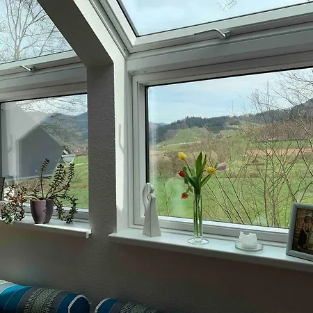 Am Fusse Des Schwarzwalds