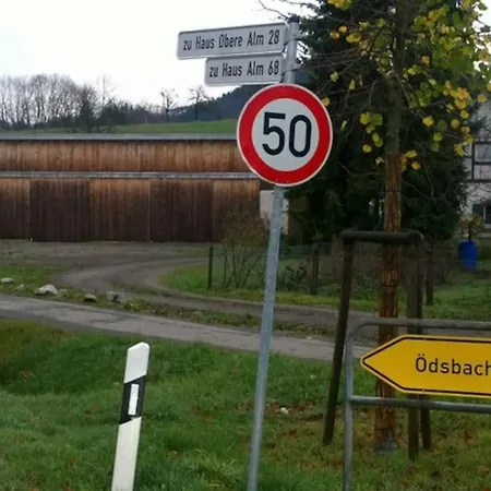 Am Fusse Des Schwarzwalds Apartamento *